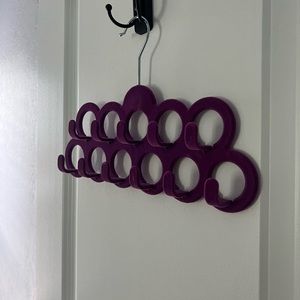 Belt and scarf holder